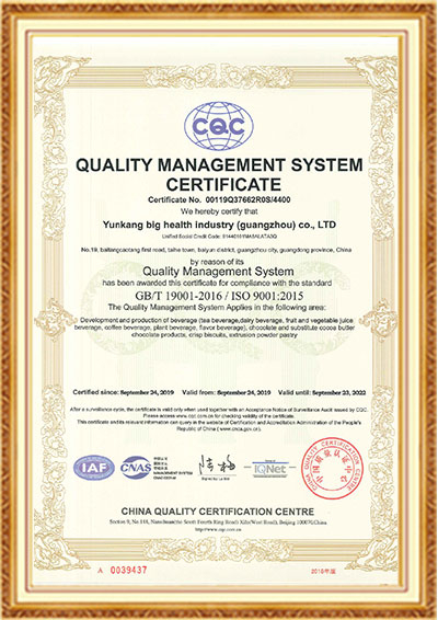 304am永利集团ISO9001（英文）